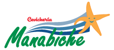 manabiche-x1